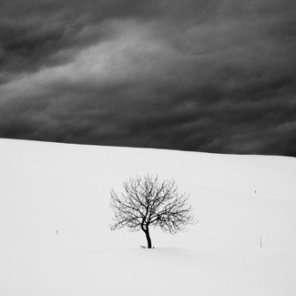 Waiting for Spring Waiting for Spring