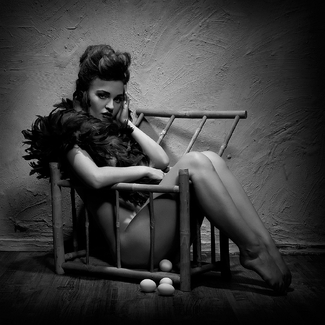 in the bird cage in the bird cage