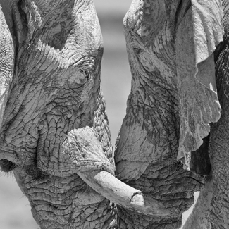 A Tender Moment A Tender Moment