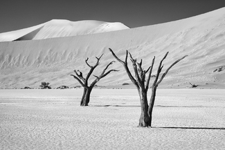 Deadvlei Deadvlei