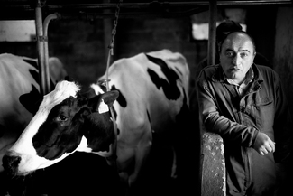 Beauty and the Beast Beauty and the Beast