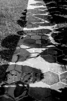 Honeycomb Road Honeycomb Road