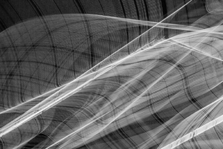 One Shot Experiment No.5860 One Shot Experiment No.5860