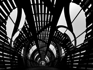 Compound Eyes Compound Eyes