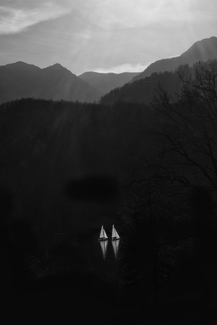 Out for A Stroll Out for A Stroll