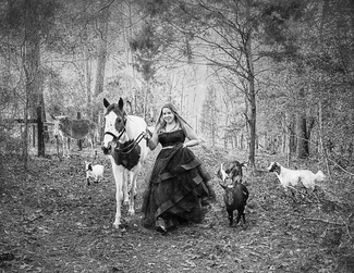 Prom Dress without the Prom Prom Dress without the Prom