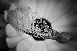 In the Beginning In the Beginning