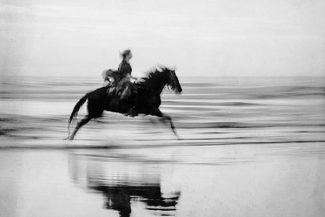 Horse on the Beach #7 Horse on the Beach #7