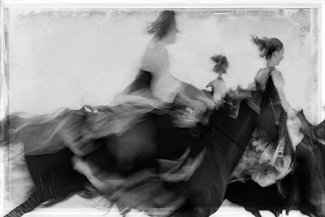 Three Horses on the Beach Three Horses on the Beach