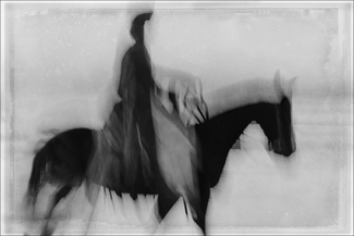 Horse on the Beach #28 Horse on the Beach #28