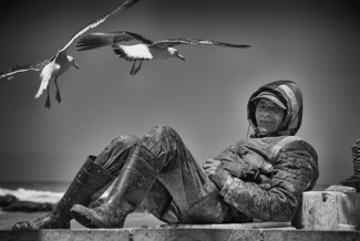 The Fisherman And The Seagulls