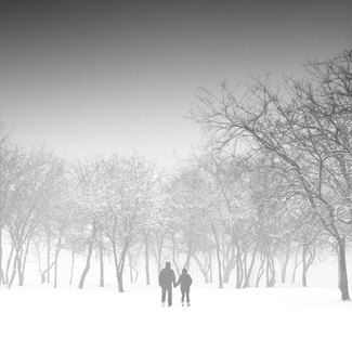 Into the Mist Into the Mist