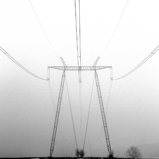 Tree Anchors Tree Anchors
