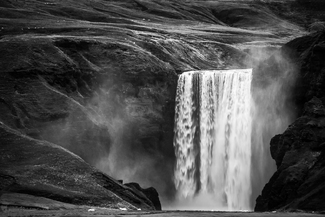 A Sheep's Paradise A Sheep's Paradise