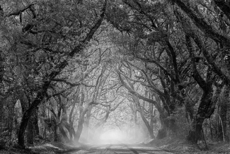 A Light At The End Of The Tunnel  A Light At The End Of The Tunnel