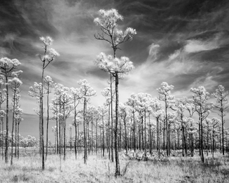 A New Beginning A New Beginning