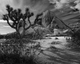 Night Time Descends Night Time Descends