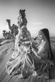 Rabiri in the Thar Desert Rabiri in the Thar Desert