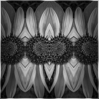 Out of Darkness Out of Darkness