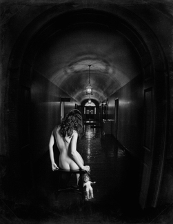 The Institution The Institution