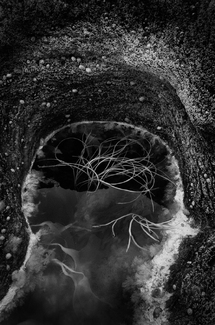 Rock Pool No:2 Rock Pool No:2