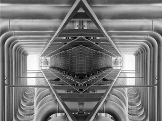 Organic Industry Organic Industry