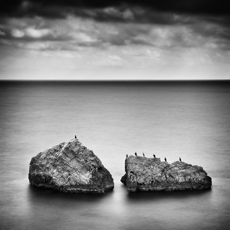 Seven Seabirds Seven Seabirds