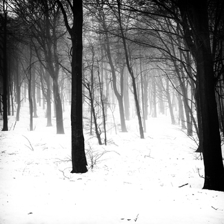 White Silence White Silence