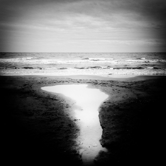 The Shape of Water The Shape of Water