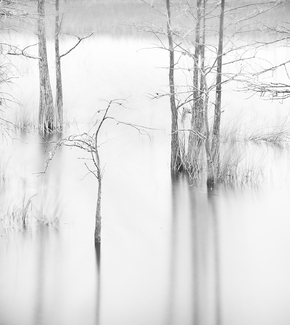 Grassy Waters Grassy Waters