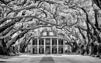 Oak Alley Plantation Oak Alley Plantation