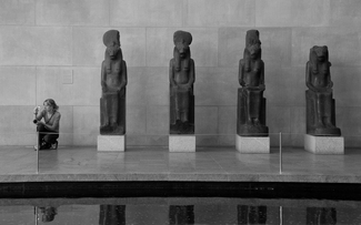 evolution or involution evolution or involution