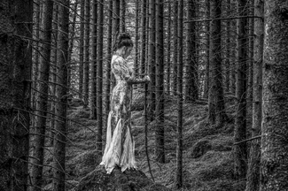 Into The Forest Into The Forest