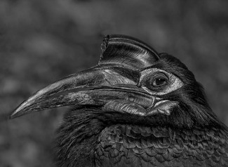 For Your Eyes Only For Your Eyes Only