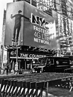 Line Crossing - All Counted Line Crossing - All Counted