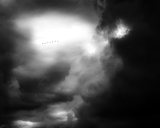 In to the storm In to the storm