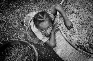 Dignity among the baskets Dignity among the baskets