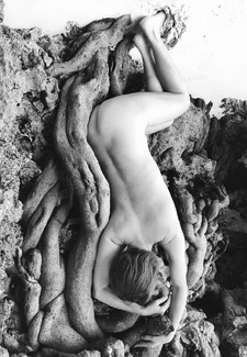 Putting Down Roots Putting Down Roots