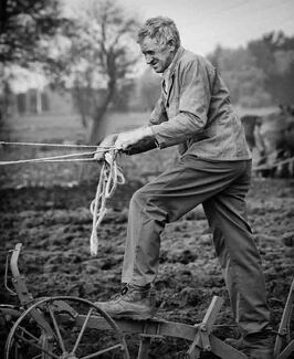 Working Man Working Man