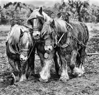 Just Starting Out Just Starting Out