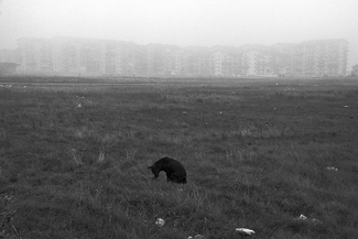 Untitled (3) Untitled (3)