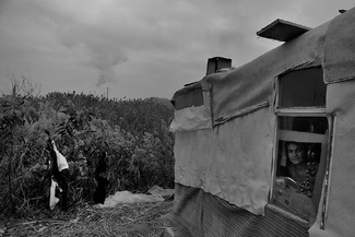 Vacaresti Delta Vacaresti Delta