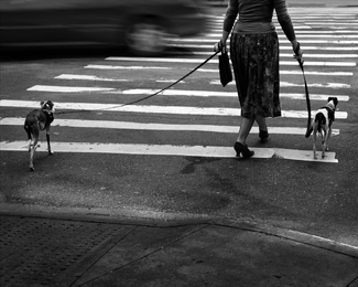 Sophisticated lady Sophisticated lady