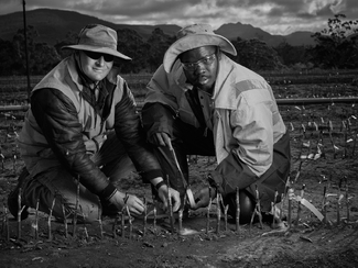 Samson & David Samson & David