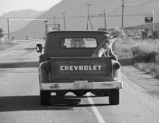 Life in the fast lane Life in the fast lane