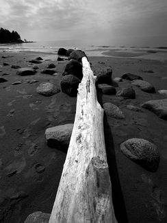 Solitude Solitude