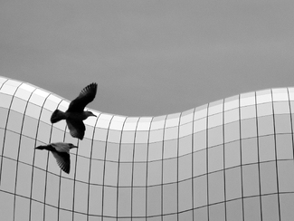 The beauty of glass architecture The beauty of glass architecture