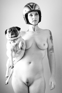 The Flying Squirrels The Flying Squirrels