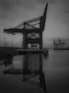 Silent Sentinels Silent Sentinels