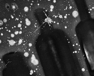 Raindrops on Lumen Print Raindrops on Lumen Print